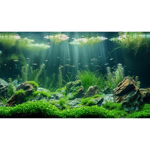 Underwater Aquatic Seagrass Aquarium Background Under The Sea Grass Leaves Lush Green Moss Fish Tank Background Deep Sea Rock Cork with Foggy Misty Sunbeams Terrarium Backgrounds Wallpaper 24x12in - size: 24(W)x12(H)inches/ 60(W)*30cm(H)