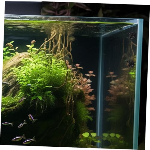 Toyvian 10Pcs Fish Tank Clips Durable Suction Cup Brackets for Aquarium Light Heater Stable and Easy Installation for Securing Accessories Aquariums