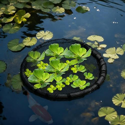 2 Pieces Floating Plant Fish Barrier Pond Plant Protector | Round pond plant protector protects your floating plants from pond fish