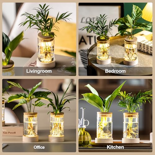 Glass Plant Propagation Stations, Propagation Vases for Plants with Ambient Light Base, Hydroponic Vase for Home & Office Windowsill Tabletop Decoration Desktop Vases for Living Room, Bedroom (2)
