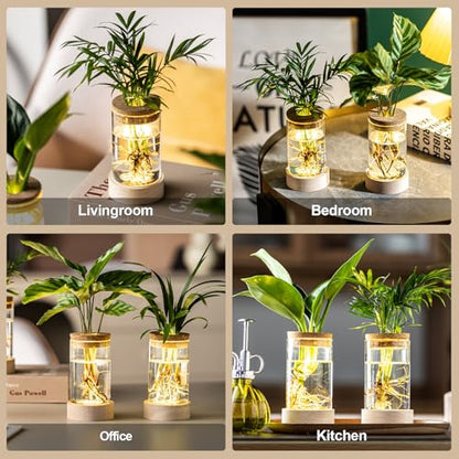 Glass Plant Propagation Stations, Propagation Vases for Plants with Ambient Light Base, Hydroponic Vase for Home & Office Windowsill Tabletop Decoration Desktop Vases for Living Room, Bedroom (2)