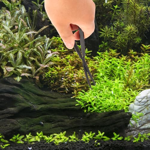 POPETPOP Aquarium Scissors for Plants Water Grass Trimmer Professional Fish Tank Scissor Curved Spring Action Tool for Aquascaping Small Thin Aquatic Plant Trimming 6.10 Inch