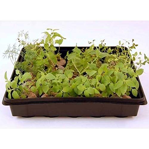 Handy Pantry 10" x 10" Garden Growing Trays with Drain Holes - 5-Pack | Recyclable Plastic Plant Trays for Wheatgrass, Microgreens, Hydroponic Growing, Nursery Flats, Greenhouse Supplies