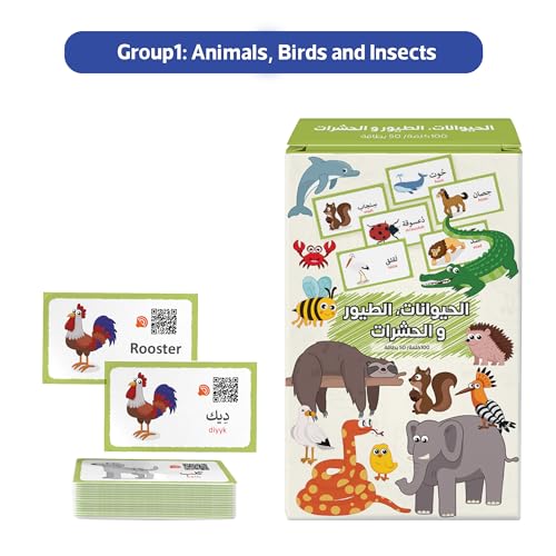 My First 300 Bilingual English Arabic Flash Cards for Kids with Pictures & Online Audio Jumbo Learning Box of 6 Sets Learn Animals, Fruits, Vehicles & Everyday Items Kids Learn English & Arabic
