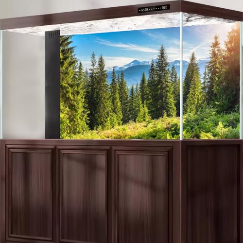 Majestic Mountain Forest Aquarium Background Scenic Evergreen spruce coniferous trees Fish Tank Background High mountains Pine Tree Terrarium Backgrounds Green Meadows Reptile Tank Backgrounds 24x12in - color: Jade Green, size: 24(W)x12(H)in