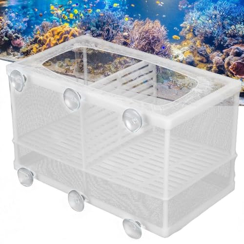 Aquarium Breeder Box with Suction Cups Partition Design Detachable Isolation Hatchery for Fish Fry Tank Breeding(L with Partition) - size: L (with Partition)