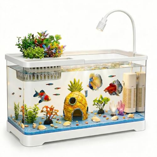 4 Gallon Fish Tank Aquarium Starter Kit with Filter and Light(Medium White) - color: White, size: 4 Gallon