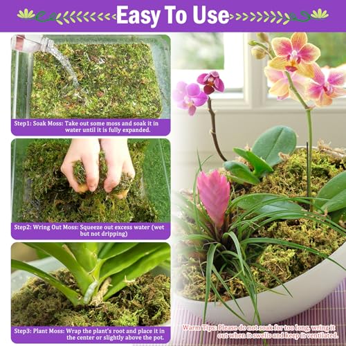 Riare 3.3LB Premium Sphagnum Moss for Plants- 60QT Natural Dried Plant Moss - size: 60 QT(Appx.3.3lbs)