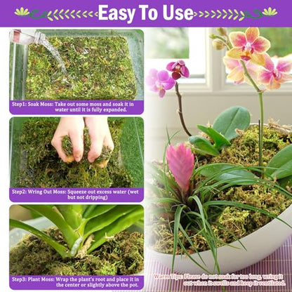 Riare 3.3LB Premium Sphagnum Moss for Plants- 60QT Natural Dried Plant Moss - size: 60 QT(Appx.3.3lbs)
