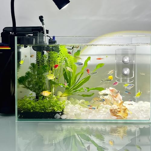HEMOTON Fish Feeding Cup with Suction Cups Aquarium Feeding Ring Fish Food Holder Tube Round Sinking Feeder Tool Suitable for Aquarium Supplies