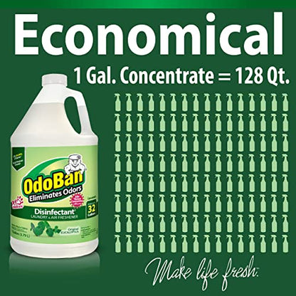 OdoBan Disinfectant Concentrate and Odor Eliminator, Made in the USA, Original Eucalyptus Scent, 1 Gallon - size: 128 Fl Oz (Pack of 1)