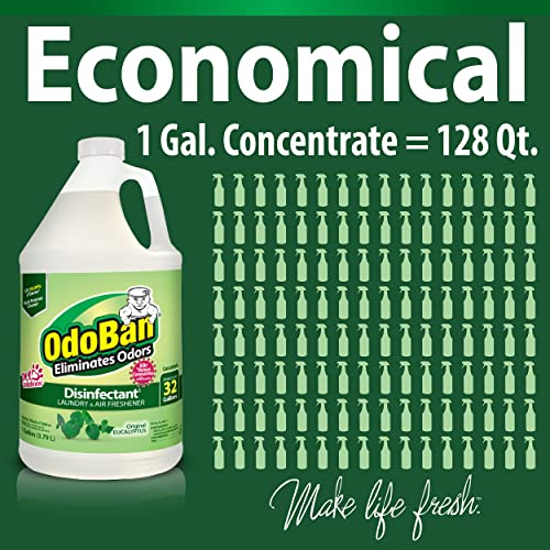 OdoBan Disinfectant Concentrate and Odor Eliminator, Made in the USA, Original Eucalyptus Scent, 2 Gallons - size: 128 Fl Oz (Pack of 2)