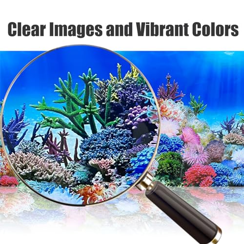 Fish Backgrounds Paper Double Sides Undersea Aquarium Background Poster Colorful Sea Anemone Fish Tank Background Sticker Decorations 16"x 33"