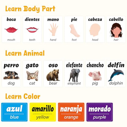 Ceiba Tree Spanish Flash Cards 100 English to Spanish Verb Conjugation Phrases Adjectives Colors Educational Bilingual Flashcards Learn Español for Kids Adult Beginners Toddlers Grade School Classroom