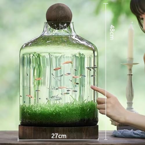 Glass Aquarium with Wooden Base, Microecosphere Fish Tank, Transparent Bottle-Shaped Batta Fish Bowel, Micro-Landscape Ecological Aquarium, Modern Glass Goldfish Tank,XL - color: Xl