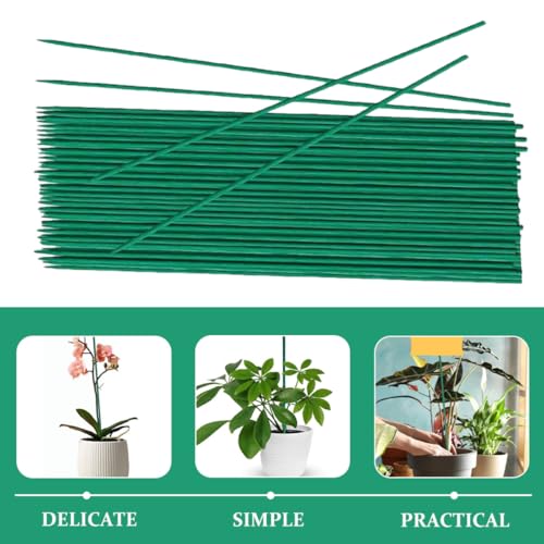 INOOMP 40pcs Plant Support Stakes 45cm Gardening Sticks for Plants Floral Stem Support Poles Sturdy Indoor and Outdoor