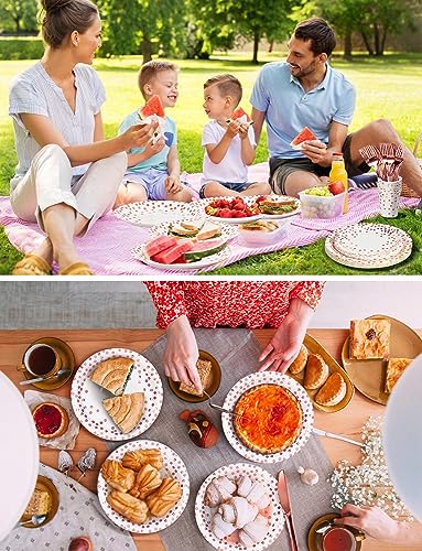 Nkaiso 141Pcs Rose Gold Paper Plates and Napkins Party Supplies for20 - color: Rose Gold