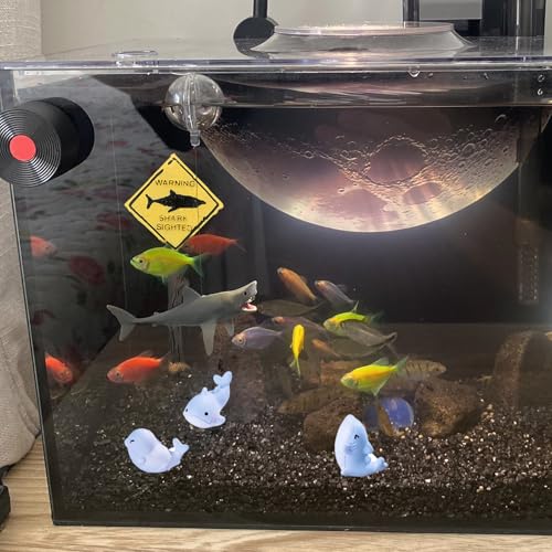 Piwe 5pcs Aquarium Shark Ornament Set Warning Sign Fish Tank Decor | shark themed aquarium ornaments for fish tank landscaping; underwater scene decor