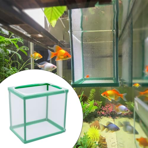 MY MIRONEY 2PCS 6.69" x 5.04" x 6.38" Fish Tank Breeder, Green | Nylon Fish Incubator Mesh Box Aquarium Fish Fry Hatchery Breeder with Suction Cups - style: 6.69" x 5.04" x 6.38"; Green; without Divider