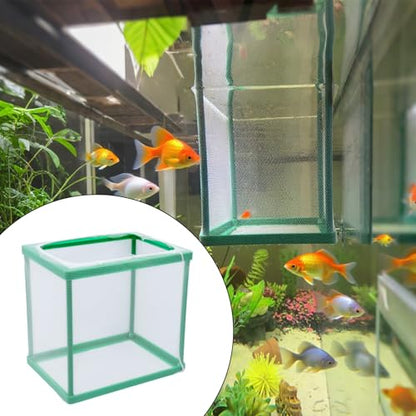 MY MIRONEY 2PCS 6.69" x 5.04" x 6.38" Fish Tank Breeder, Green | Nylon Fish Incubator Mesh Box Aquarium Fish Fry Hatchery Breeder with Suction Cups - style: 6.69" x 5.04" x 6.38"; Green; without Divider