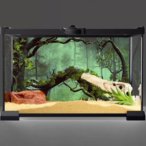 48x18 inches Reptile Habitat Background Foggy Forest Terrarium Backdrop | AWERT Tropical Rainforest Stone Green Tree Aquarium Background, Durable Polyester - size: 48x18in/120x45cm