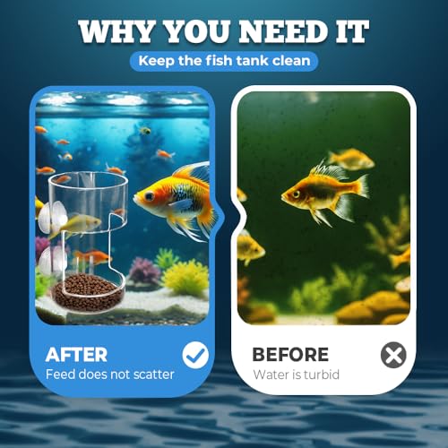 No Mess Aquarium Feeder, 2026 New Acrylic Clear Fish Tank Feeder with Suction Cup, Preventing Food Scattering (Square) - color: Square