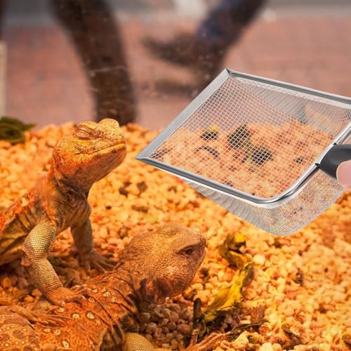 Reptile Sand Substrate Scoop Stainless Steel Litter Cleaner Shovel for Tortoise and Lizard Terrarium Maintenance