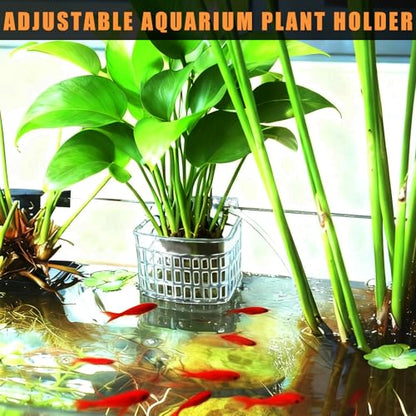 6pcs Upgraded Adjustable Aquarium Plant Holder，Fish Tank Plants Holder,Fish Tank Aquaponics Plant Cultivation and Aquarium Landscape Decoration with Hooks and Suction Cup（Transparent）