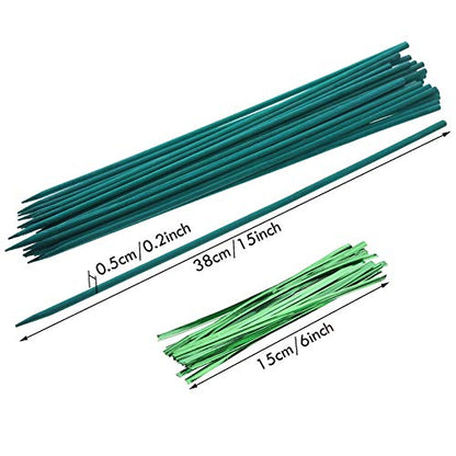 Jetec 110 Pcs 15 Inch Plant Support Kit for Small Orchids, Stakes, Clips | 30 Bamboo Stakes, 50 Reusable Clips, 30 Ties, Gentle Stem Support, Blends with Plants, for Small Orchids and Potted Flowers