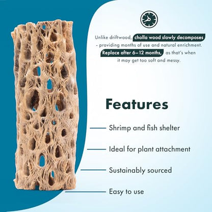 Natural Cholla Wood - Driftwood for Aquariums, Air Plant Base, Hermit Crab and Freshwater Shrimp Hideout, Fish Tank Decoration, Chinchilla Chews, Reptile Habitat Wood - 6 Inch, 3pc - size: 6 Inch, 3pc