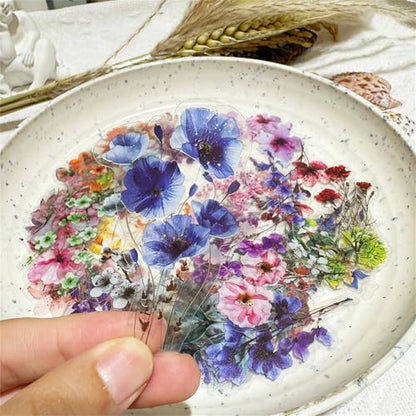 50 Pieces Natural Flower Stickers for Scrapbooking, Transparent PET Self-Adhesive Scrapbooking Stickers Supplies Journal Stocking Stuffers for Adult Card Making Letters DIY (Flower-PET) - color: Flower-pet