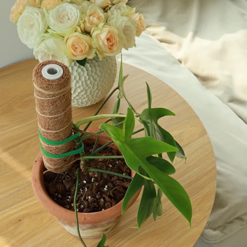 Moss Pole for Plants 4 Pack Natural Coco Coir Climbing Support Stakes with Plant Ties Indoor Monstera Plant Training Extension Poles 7.9inch Each Total 31.6 inch - size: 20cm
