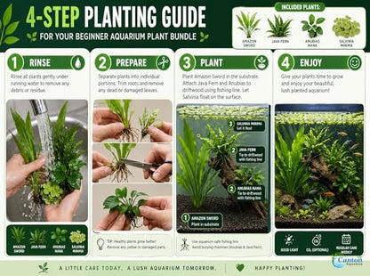 Assorted Mixed Plant Bundle | Live Aquarium Plant, Freshwater, Low | Medium | High Light