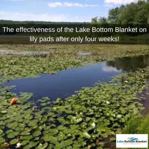 Aquatic Weed Control | Chemical-Free Vegetation Inhibitor for Lakes & Ponds | Benthic Barrier | Instant Weed Free Swimming (10.75 feet x 40 feet) - size: 10.75 feet x 40 feet