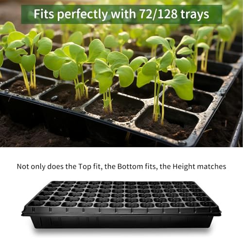 RooTrimmer 20 Pack Shallow 1020 Trays No Holes, Heavy Duty Reusable Seed Starter Flat Seedling Tray for 72/128 Cell Plug Tray, Transplant, Microgreen & Seed Germination (21"×11", 1.6" Deep, TD538) - size: TD538-20P-Black