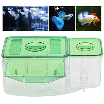 Fish Breeder Box,Double Layer Little Fish Isolation Hatching Incubator Aquarium Fish Isolation Breeding Box for Injured Small Fish Shrimp Clownfish Guppy