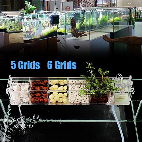 6 Grids Acrylic Fish Tank Filter Box External Aquarium Water Filter Case Transparent Acrylic Hang On Filter Box Aquarium Accessory for Restaurant Home Hotel, Without Pump (6 Grids)