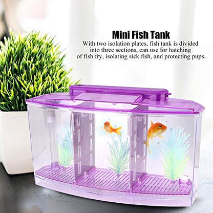 Mini Fish Breeding Box, Clear Acrylic LED Isolation Hatchery Tank for Desktop Aquarium Purple 11 x 3.9 x 5.9 in 3 Compartments 1 Filter Bubble Head