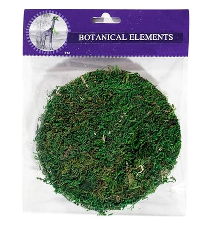 SuperMoss (26295) Moss Soil Toppers, Fresh Green, 4 (3 Units) - color: Fresh Green, size: 4" (3 units)