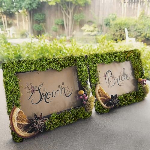 Preserved Moss for Crafts Potted Plants 2 sq.ft. Dried Natural Preserved Moss Mat Green Moss for Planters Crafts Woodland Decor Garden Party Decorations Wall Art DIY Project Green
