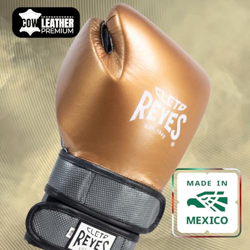 CLETO REYES Hero with Double Strap Hook and Loop Boxing Gloves for Training, Sparring and Heavy Punching Bags - color: White Pearl/Silver, size: 12oz.