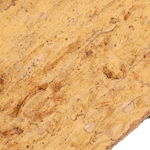 POPETPOP 3pcs Cork Terrarium Background Reptile Tank Tree Bark Backdrop Wall 3D Habitat Climbing Mat for Lizard Turtle Gecko Bearded Dragon