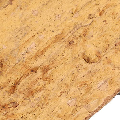 POPETPOP 3pcs Cork Terrarium Background Reptile Tank Tree Bark Backdrop Wall 3D Habitat Climbing Mat for Lizard Turtle Gecko Bearded Dragon