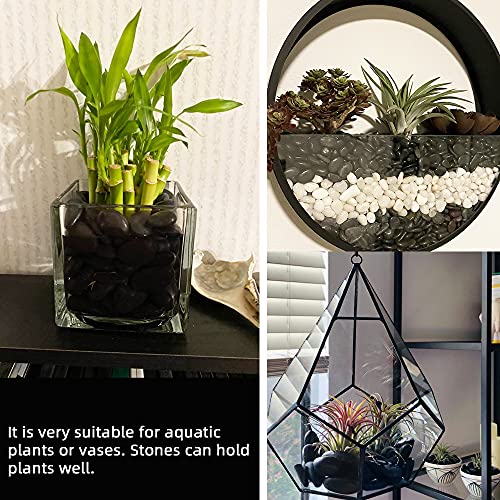 Black Pebbles for Plants 1.8lb Bulk Bag Aquarium Gravel 0.8"- 1.2" Decorative Polished Fish Tank Stone - size: 1.8LB, style: Black