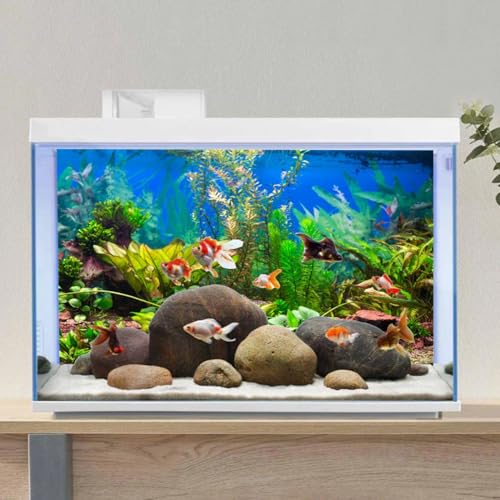 AWERT 36x18 inches Aquarium Background Aquatic Plant River Bed and Lake Fish Tank Background Vinyl, 36x18in/90x45cm - size: 36x18in/90x45cm