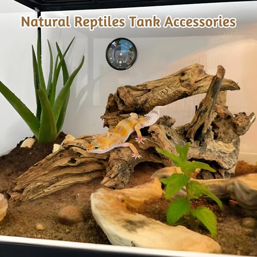 kathson Large Natural Aquarium Driftwood Reptiles Branches Terrarium Ornament Sinkable Wood Decor Trunk Fish Tank Log Habitat Decoration (11"-17")