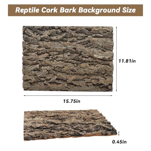 PINVNBY Natural Cork Bark Terrarium Background,15.74x11.81 Inches Reptile Tank Backdrop 3D Bearded Dragon Tank Climbing Wall Habitat Decor for Gecko Lizard Tortoise Frog Chameleon(1 PCS) - size: 【1 PCS】