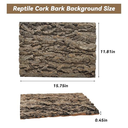 PINVNBY Natural Cork Bark Terrarium Background,15.74x11.81 Inches Reptile Tank Backdrop 3D Bearded Dragon Tank Climbing Wall Habitat Decor for Gecko Lizard Tortoise Frog Chameleon(1 PCS) - size: 【1 PCS】