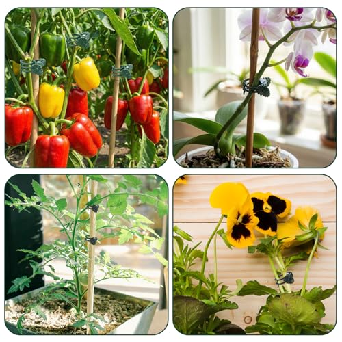 50 Pcs Plant Clips for Climbing Plants Orchid Clips for Plants Support Garden Flower Stem Vine Clip, Dark Green