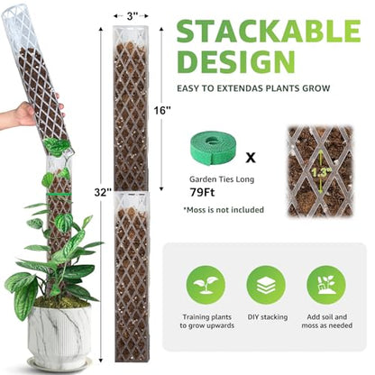 Sisher 6 Pcs Monstera Moss Pole,Plastic Moss Poles for Climbing Plants | Work With Sphagnum Moss,16'' Plant Support For Indoor Climbing Support,Garden Ties - size: 6 PACK